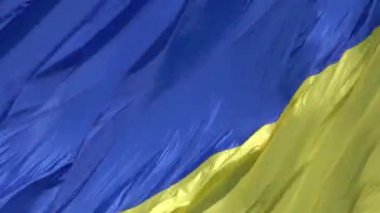Kiev, Ukrayna 29 Ağustos 2021: Dünyanın en büyük Ukrayna Bayrağı