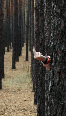 Bir el, sık ormandaki bir ağacın arkasından bir Fak işareti gösterir.