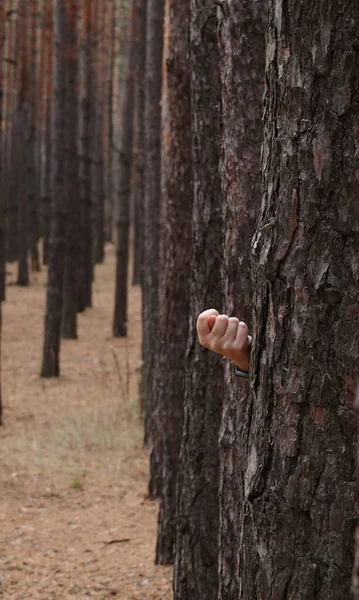 Hand Shows Dool Sign Tree Dense Forest —  Fotos de Stock
