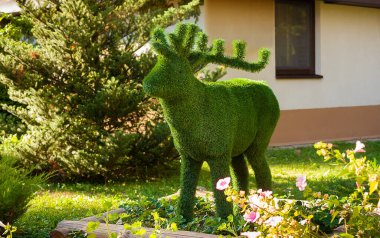 Cultural recreation area decorated with various decorative elements