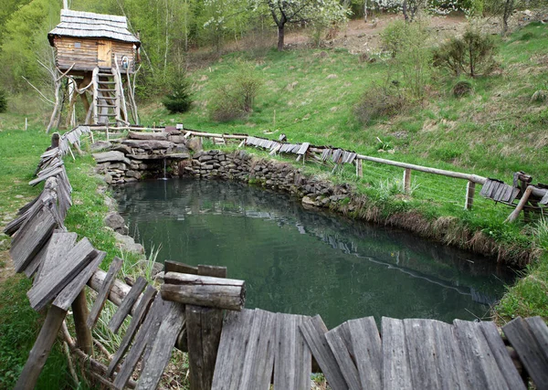 Large Pool Wild Mountains Transcarpathia Ukraine — Stok Foto