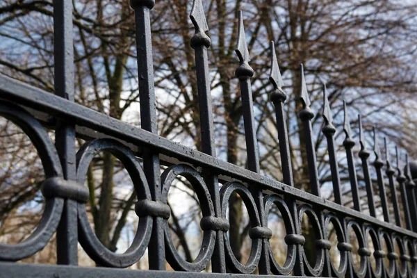 Forged iron fence with sharp peaks and rings