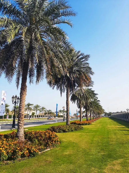Sharjah, BAE 21 Şubat 2020: Yollar boyunca uzanan palmiye sokakları ile şehri düzenleme