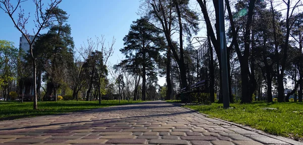 Kiev Ukraine April 2021 Park Kyota City Kiev Spring — Zdjęcie stockowe