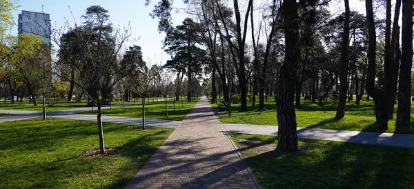 Kiev, Ukraine April 27, 2021: Park 
