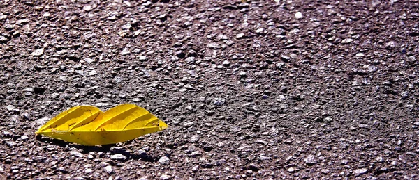 Autumn leaf on the road in the form of lips - autumn kiss