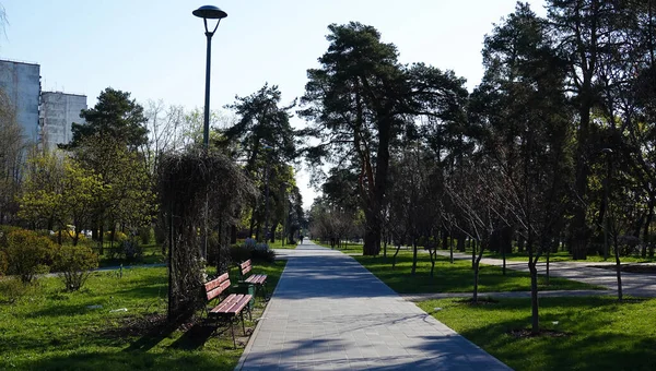 Kiev Ukraine April 2021 Park Kyota City Kiev Spring — Stock Photo, Image