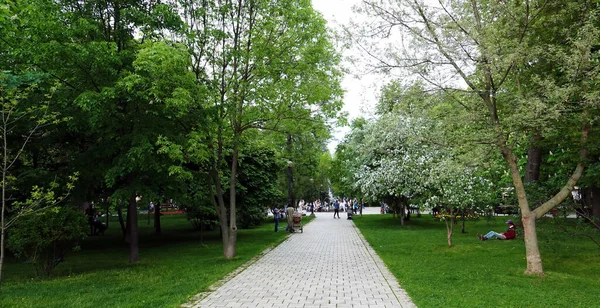 2021年5月29日 乌克兰基辅 以基辅市 Taras Shevchenko 的名字命名的公园里的小巷 — 图库照片