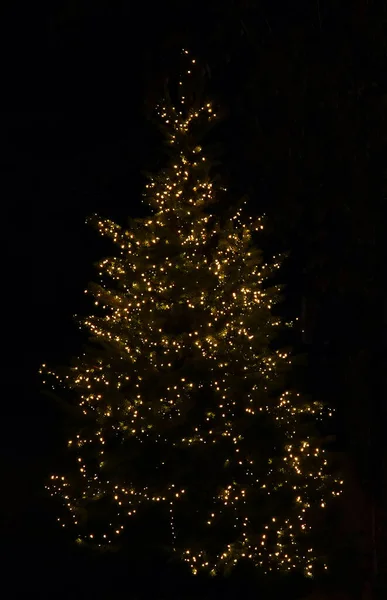 Decoration Store Festive Tree New Year — ストック写真