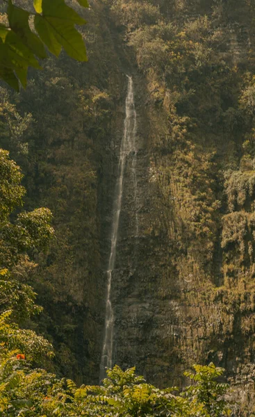 Escena panorámica de fallos de agua en bosque de bambú en camino a Hana, Maui, Hawai — Foto de Stock