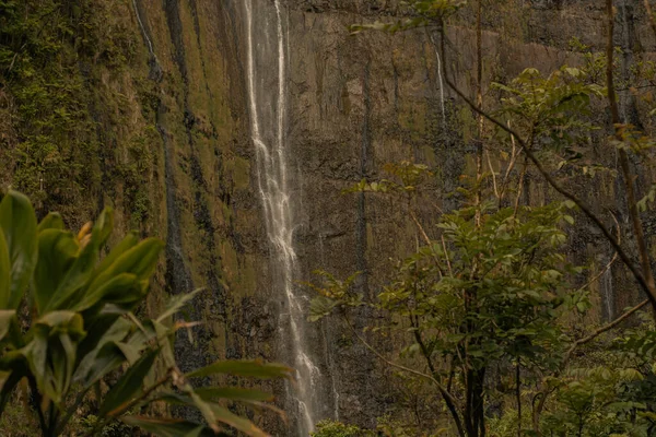 Escena panorámica de fallos de agua en bosque de bambú en camino a Hana, Maui, Hawai — Foto de Stock