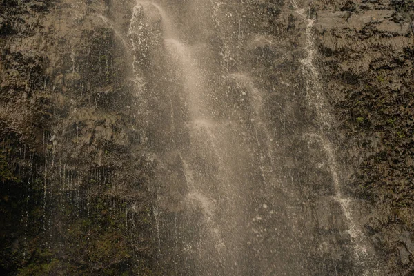 Panoramic scene from waterfallls at bamboo forest in road to hana, Maui, Hawai — Fotografia de Stock