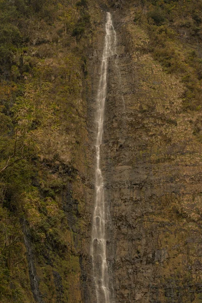 Escena panorámica de fallos de agua en bosque de bambú en camino a Hana, Maui, Hawai — Foto de Stock