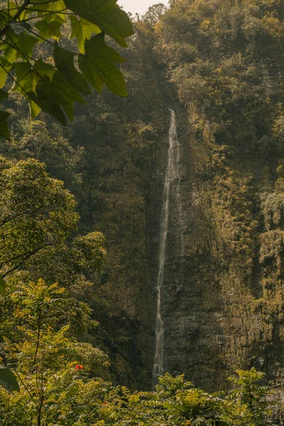 Panoramic scene from waterfallls at bamboo forest in road to hana, Maui, Hawai — Fotografia de Stock