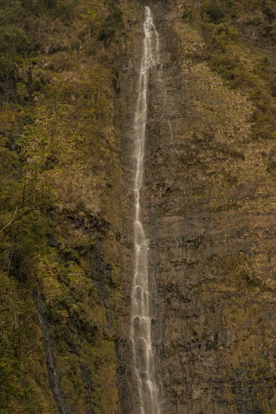 Panoramic scene from waterfallls at bamboo forest in road to hana, Maui, Hawai — Stock Photo, Image