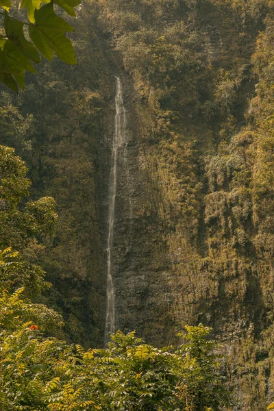 Hana, Maui, Hawaii yolundaki bambu ormanlarındaki şelalelerden panoramik manzara — Stok fotoğraf