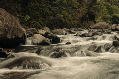 Iao Vadisi, Maui, Hawaii 'den panoramik manzara.