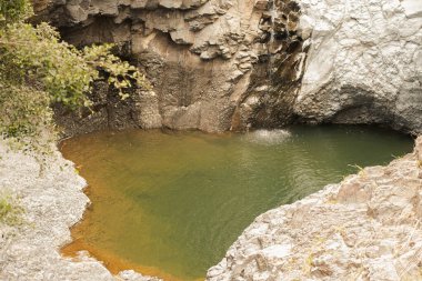 Hana, Maui, Hawaii yolundaki bambu ormanından panoramik manzara