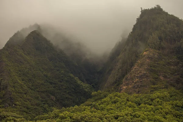 Vue panoramique sur le paysage depuis la vallée de l'Iao, Maui, Hawaï. — Photo
