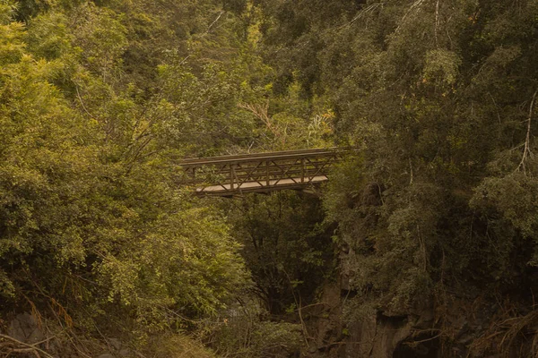 Panoramic scene bridge from bamboo forest in road to hana, Maui, Hawai — стокове фото