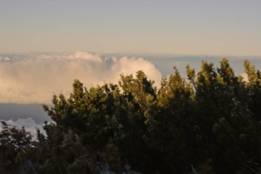 Maui, Hawaii 'deki Haleakala yanardağının panoramik üst görüntüsü