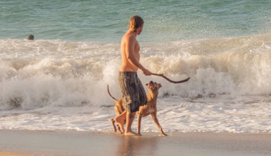 Sahildeki insanlar, Makena, Maui, Hawai 2022 'den alınan yaşam tarzı sahnesi, Ocak. 