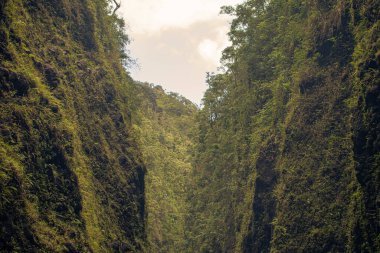 Hana, Maui, Hawaii 'deki kutsal şelalelere giden yol.