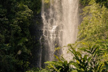 Hana, Maui, Hawaii 'deki kutsal şelalelere giden yol.