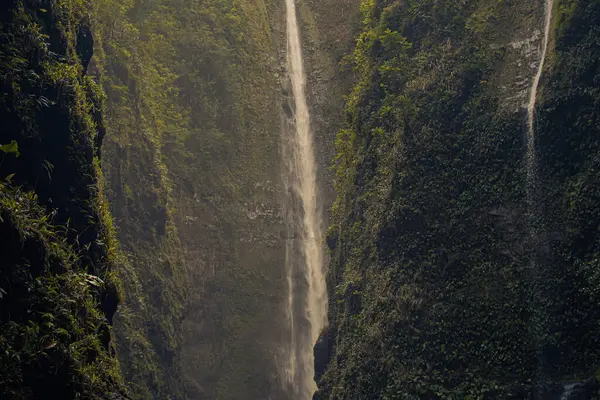 Trail naar heilige watervallen in de vallei bij hana, Maui, Hawaï — Stockfoto