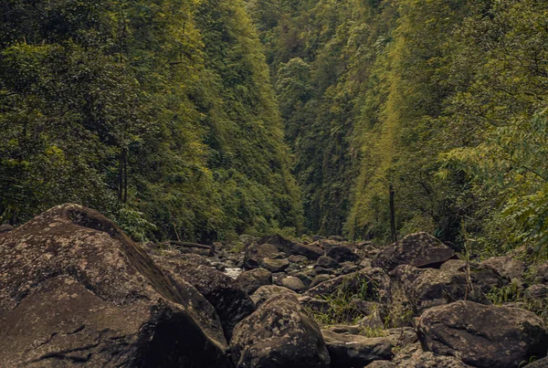 Trail naar heilige watervallen in de vallei bij hana, Maui, Hawaï — Stockfoto