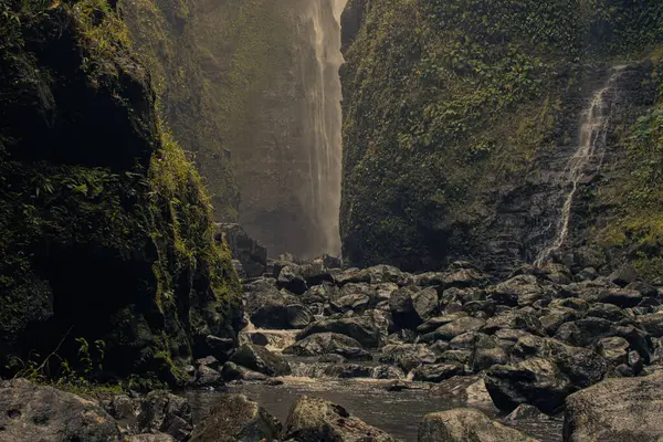 ハワイ州マウイ島の花の谷の神聖な滝への道 — ストック写真