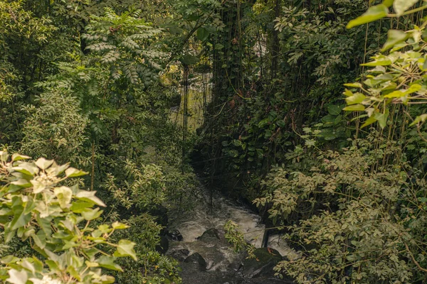 Weg zu den heiligen Wasserfällen im Tal bei hana, Maui, Hawai — Stockfoto