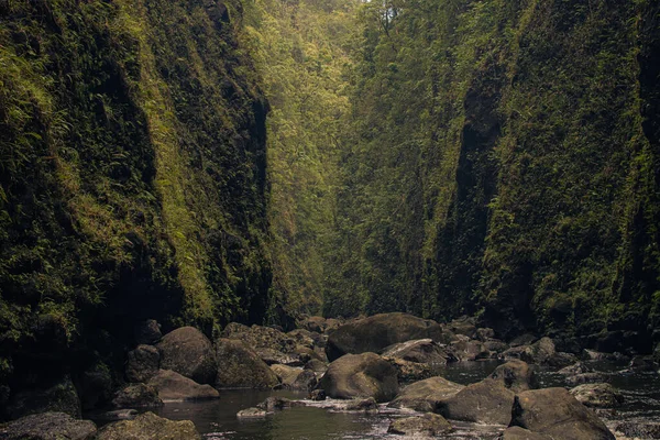 하와이, 마우이, 하나의 골짜기에 있는 신성 한 폭포로 가는 길 — 스톡 사진