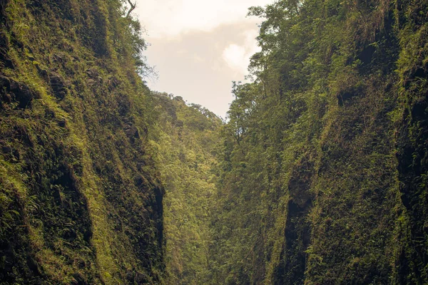 Hana, Maui, Hawaii 'deki kutsal şelalelere giden yol.