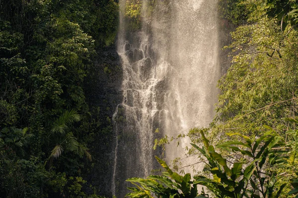 Sentiero alle cascate sacre nella valle di Hana, Maui, Hawai — Foto Stock