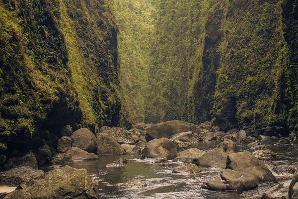 Trilha para cachoeiras sagradas no vale em Hana, Maui, Hawai — Fotografia de Stock
