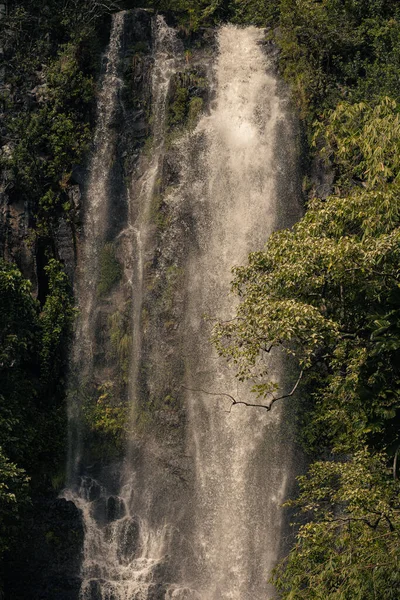 Weg zu den heiligen Wasserfällen im Tal bei hana, Maui, Hawai — Stockfoto