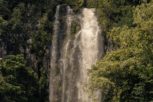 Trail naar heilige watervallen in de vallei bij hana, Maui, Hawaï — Stockfoto