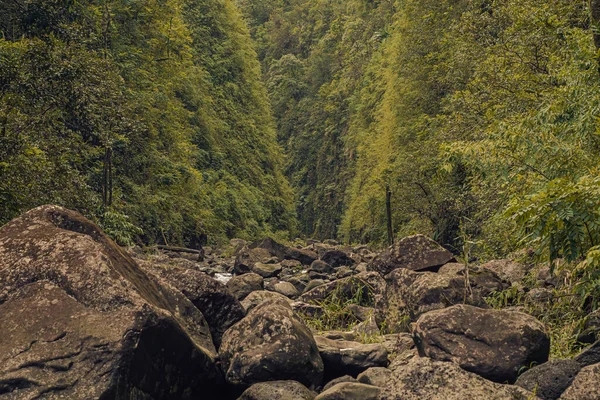 Weg zu den heiligen Wasserfällen im Tal bei hana, Maui, Hawai — Stockfoto