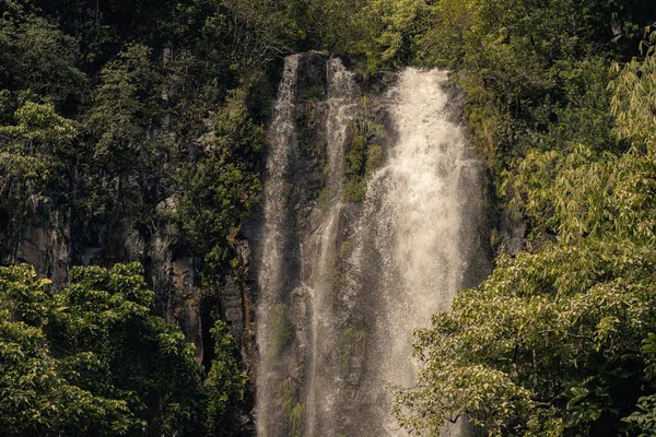 Sentiero alle cascate sacre nella valle di Hana, Maui, Hawai — Foto Stock