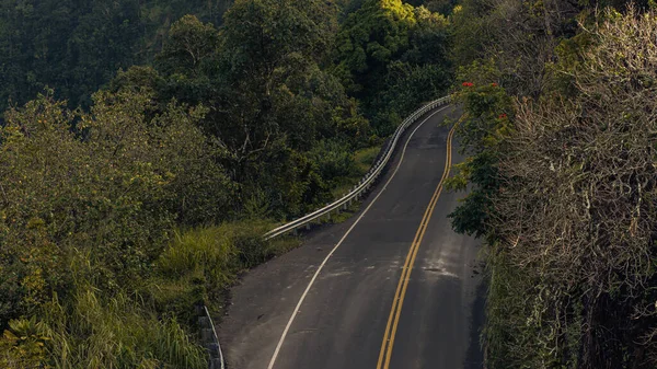 Scena naturalistica da Road a hana su Maui, Hawai, 2022 — Foto Stock