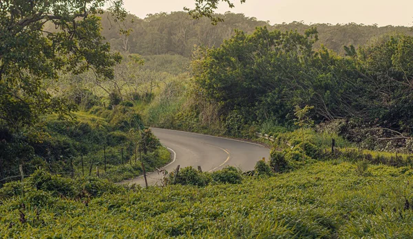 도로에서 하나가 되는 자연 경관, 마우이,하와이, 2022 년 — 스톡 사진