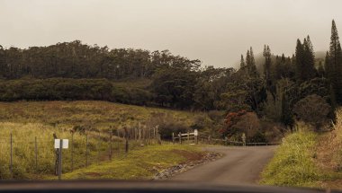 Maui Adası, Hawaii 'deki Wai Ormanı' ndaki Iao Vadisi 'nden panoramik doğa manzarası..