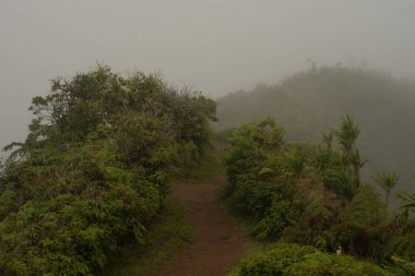 Maui Adası, Hawaii 'deki Wai Ormanı' ndaki Iao Vadisi 'nden panoramik doğa manzarası..