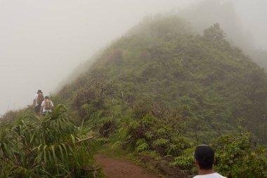 Maui Adası, Hawaii 'deki Wai Ormanı' ndaki Iao Vadisi 'nden panoramik doğa manzarası..