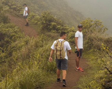 Maui Adası, Hawaii 'deki Wai Ormanı' ndaki Iao Vadisi 'nden panoramik doğa manzarası..