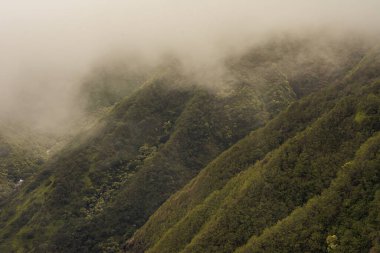 Maui Adası, Hawaii 'deki Wai Ormanı' ndaki Iao Vadisi 'nden panoramik doğa manzarası..