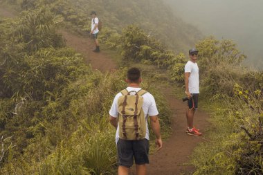 Maui Adası, Hawaii 'deki Wai Ormanı' ndaki Iao Vadisi 'nden panoramik doğa manzarası..