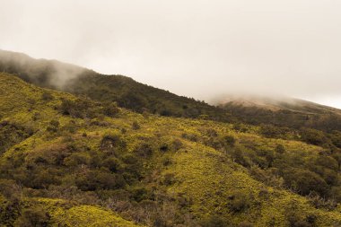 Maui Adası, Hawaii 'deki Wai Ormanı' ndaki Iao Vadisi 'nden panoramik doğa manzarası..