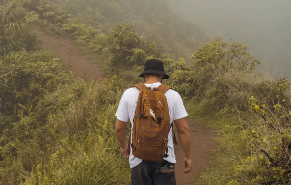 Панорамний ландшафт природи з долини Яо в лісі на острові Мауї, штат Хаваї.. — стокове фото